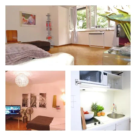 公寓 Flat Rennweg 8001 苏黎世