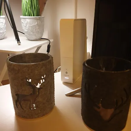 公寓 Flat Rennweg 8001 *