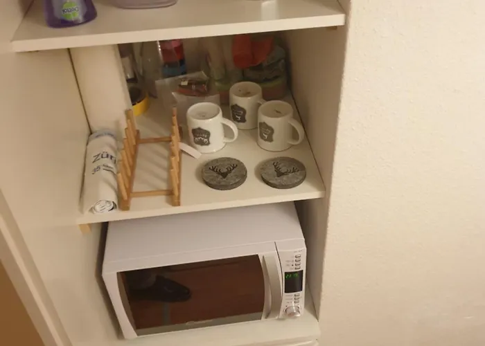 Flat Rennweg 8001 * ציריך